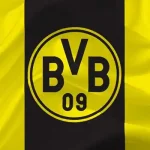 Borussia Dortmund FC: Giải Mã Sức Hút Từ Trái Tim Nước Đức