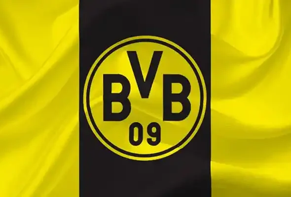 Borussia Dortmund FC: Giải Mã Sức Hút Từ Trái Tim Nước Đức